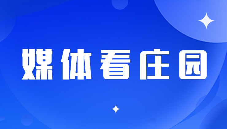 媒体看BOBSport | 主题党日活动搬到田间走进企业